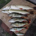 Farmház Zofiowka Pozezdrze