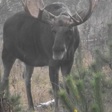 Zofiowka * Pozezdrze